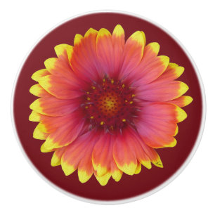 Bouton De Porte En Céramique Gaillardia 1