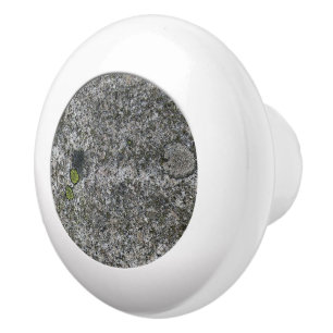 Bouton De Porte En Céramique Géologie Granite gris avec mousse