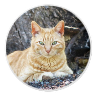 Bouton De Porte En Céramique Ginger Boy