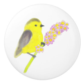 Bouton De Porte En Céramique Goldfinch