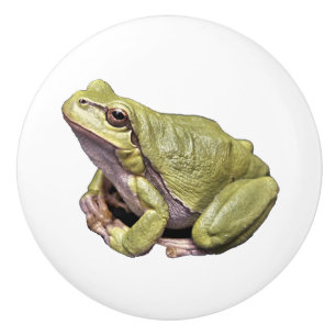 Bouton De Porte En Céramique Grenouille