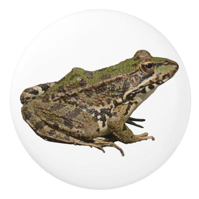 Bouton De Porte En Céramique Grenouille (Devant)