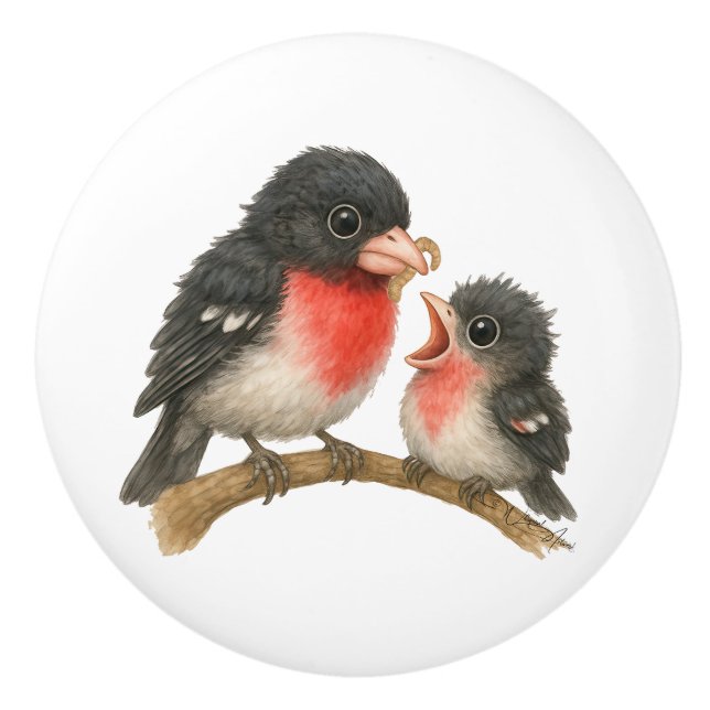 Bouton De Porte En Céramique Grosbeak à poitrine Rose étonnante (Devant)