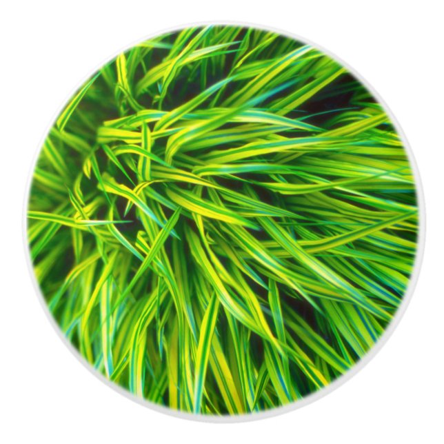 Bouton De Porte En Céramique Herbe (Devant)