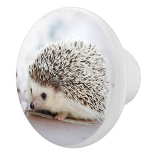 Bouton De Porte En Céramique Hérisson bébé