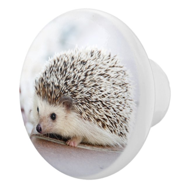 Bouton De Porte En Céramique Hérisson bébé (Droite)