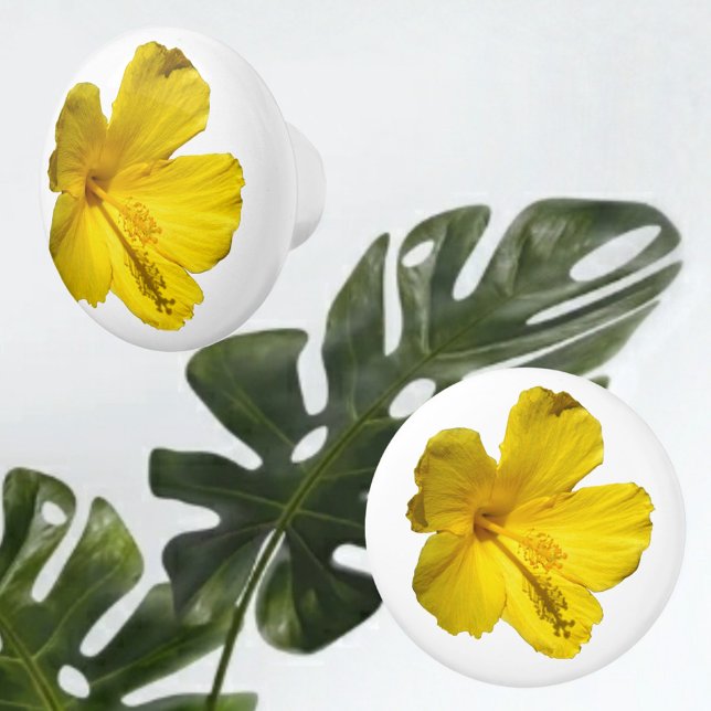 Bouton De Porte En Céramique Hibiscus jaune Fleur Botanique Photographie (Créateur téléchargé)