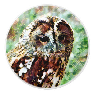 BOUTON DE PORTE EN CÉRAMIQUE HIBOU
