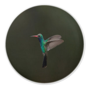 Bouton De Porte En Céramique Hummingbird en flight