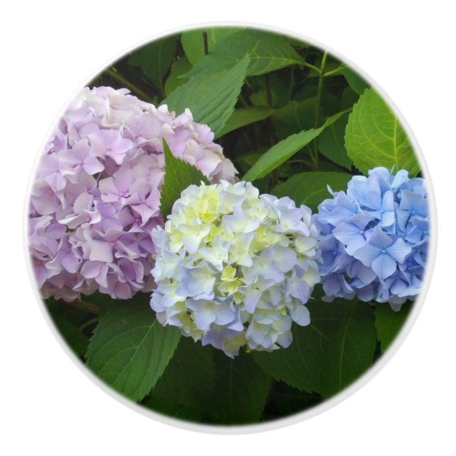 Bouton De Porte En Céramique Hydrangée rose violet bleu (Devant)