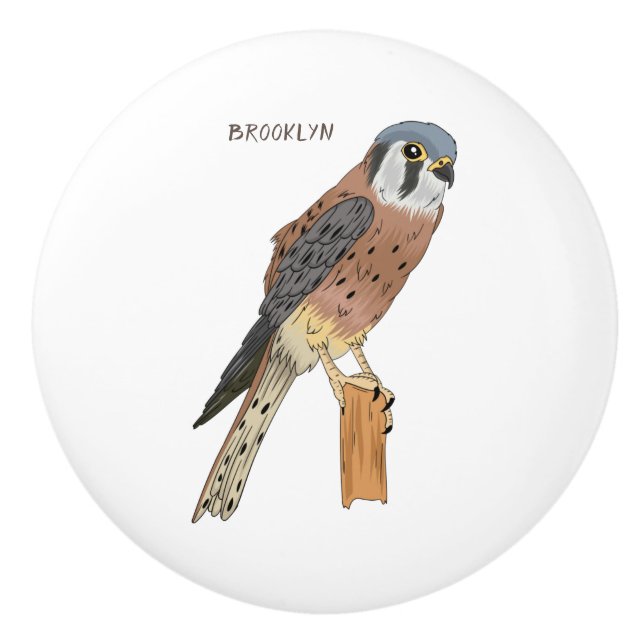 Bouton De Porte En Céramique Illustration d'oiseau américain Kestrel (Devant)