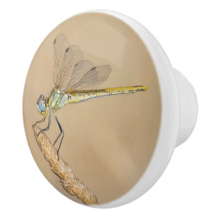 Bouton De Porte En Céramique Insecte femelle de libellule d'écumeur (CC BY 4.0)