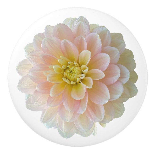 Bouton De Porte En Céramique Jour Dreamer Nénuphar Dahlia (Devant)