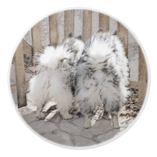 Bouton De Porte En Céramique Keeshonds at the Gate Painting - Original Dog Art