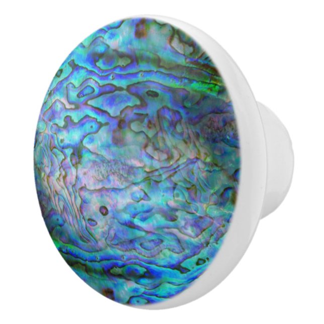 BOUTON DE PORTE EN CÉRAMIQUE KIWI NOUVELLE-ZÉLANDE PAUA (Droite)