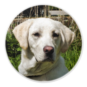 BOUTON DE PORTE EN CÉRAMIQUE LABRADOR DOG