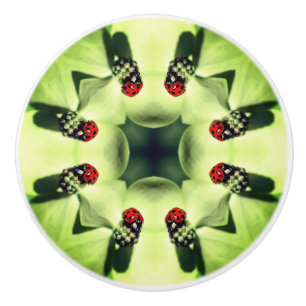 Bouton De Porte En Céramique Ladybug Sur Dogwood Abstrait Nature Art