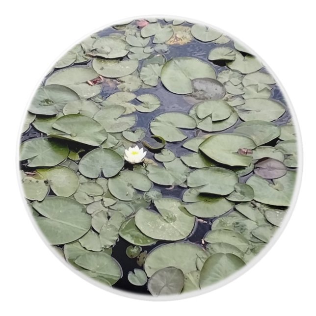 Bouton De Porte En Céramique Lake Lily Pad Explosion (Devant)