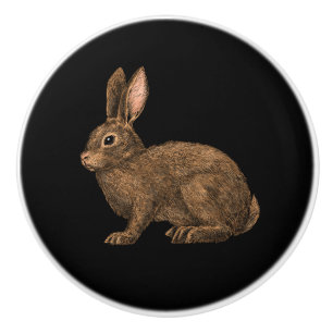 Bouton De Porte En Céramique Lapin 2