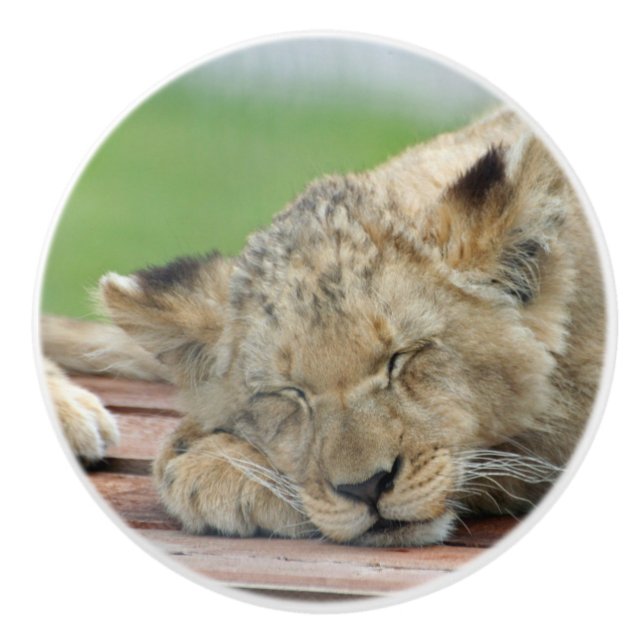 Bouton De Porte En Céramique Lion 014 (Devant)