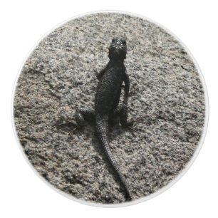 Bouton De Porte En Céramique Lizard noir