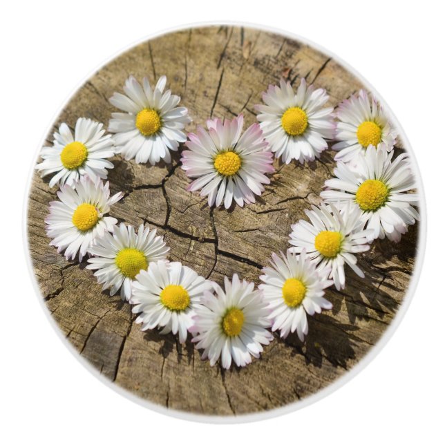 Bouton De Porte En Céramique Love Heart Daisies (Devant)