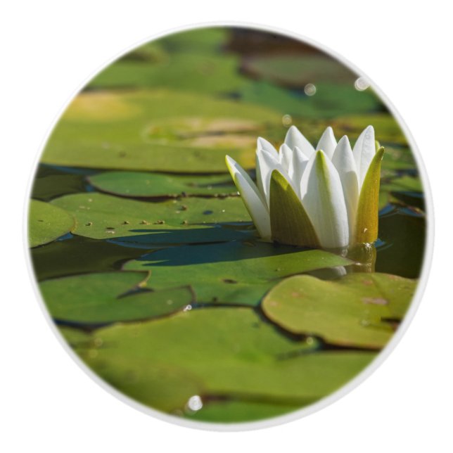 Bouton De Porte En Céramique Lys d'eau (Devant)
