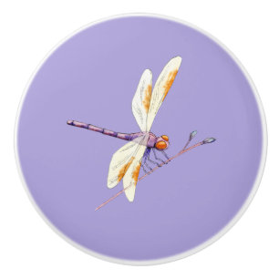 Bouton De Porte En Céramique Magnifique libellule en Branche sur Violet