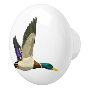 Bouton De Porte En Céramique Mallard Duck