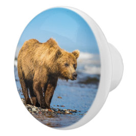 Bouton De Porte En Céramique Maman ours regarde ses deux enfants