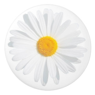 Bouton De Porte En Céramique marguerite blanche