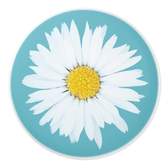 Bouton De Porte En Céramique Marguerite blanche simple sur le bleu (Devant)