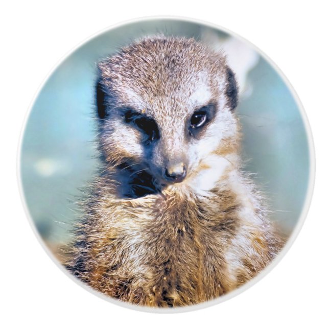 BOUTON DE PORTE EN CÉRAMIQUE MEERKAT (Devant)