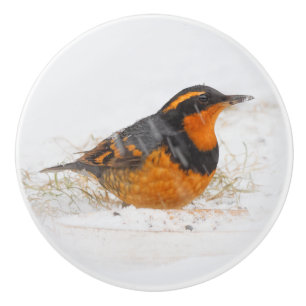 Bouton De Porte En Céramique Merveilleux oiseau-chanteur à grive variée le jour