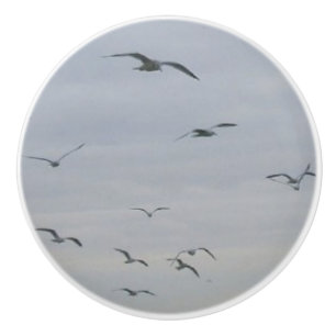 Bouton De Porte En Céramique Mouettes