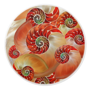 Bouton De Porte En Céramique Nautilus Shells