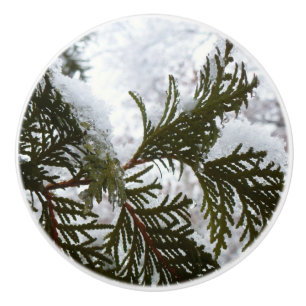 Bouton De Porte En Céramique Neige sur les branches À feuillage persistant