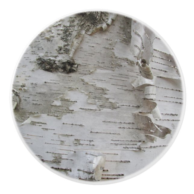 Bouton De Porte En Céramique Oiseau d'arbre de bouleau Peelé Vieux art photo (Devant)