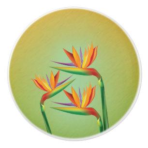 Bouton De Porte En Céramique Oiseau tropical du Paradis Fleurs florales