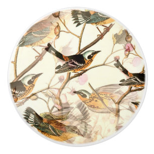 Bouton De Porte En Céramique Oiseaux sur une branche