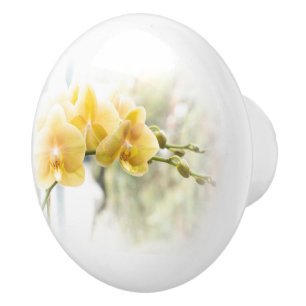 Bouton De Porte En Céramique Orchidée de mite jaune en soleil