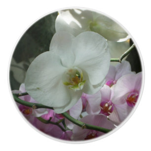Bouton De Porte En Céramique Orchidées blanches et violettes