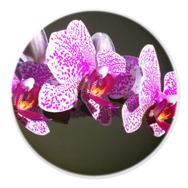 Bouton De Porte En Céramique Orchidées roses (Devant)
