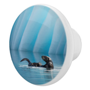 Bouton De Porte En Céramique Otter de mer joueuse