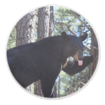 Ours noir