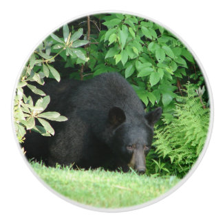 Bouton De Porte En Céramique Ours Noir - "Hello Cubby" Ceramic Knob