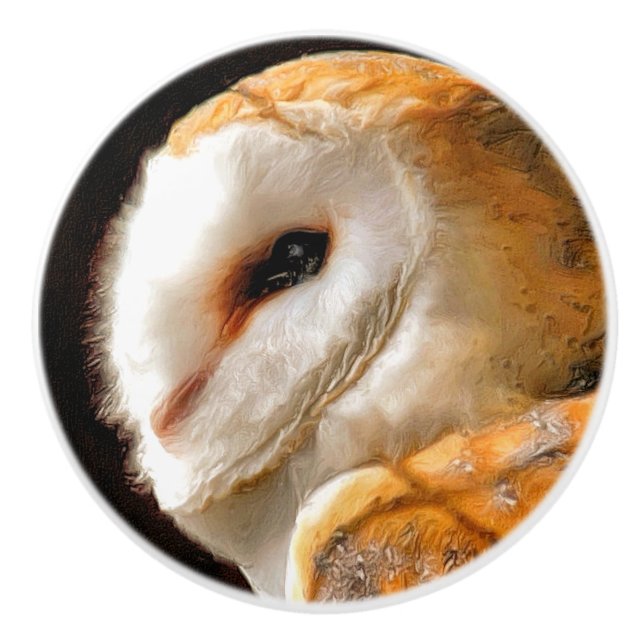 BOUTON DE PORTE EN CÉRAMIQUE OWLS (Devant)