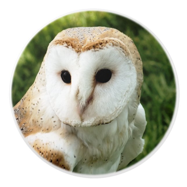 BOUTON DE PORTE EN CÉRAMIQUE OWLS (Devant)