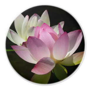 Bouton De Porte En Céramique Paire de fleurs de Lotus II