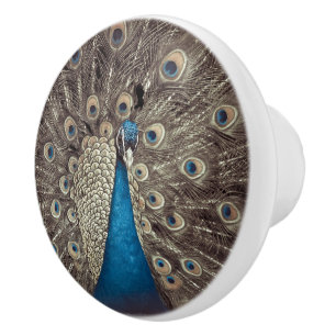Bouton De Porte En Céramique Paon bleu antique